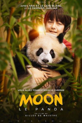 Moon the Panda