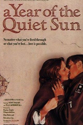 The Year of the Quiet Sun