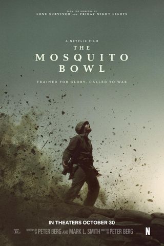 The Mosquito Bowl