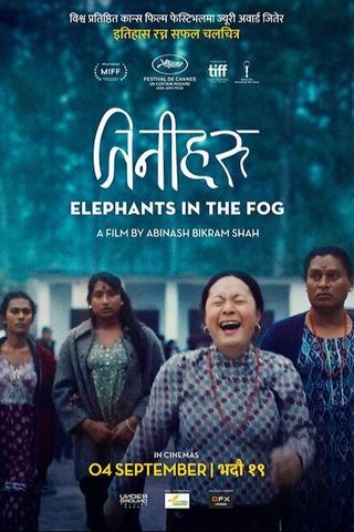 Elephants in the Fog
