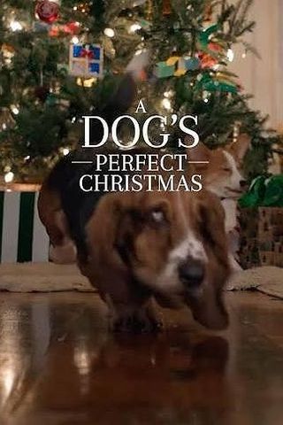 A Dog's Perfect Christmas