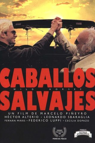 Cavalos Selvagens