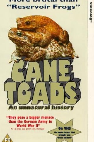 Cane Toads