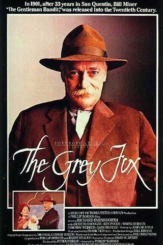 The Grey Fox