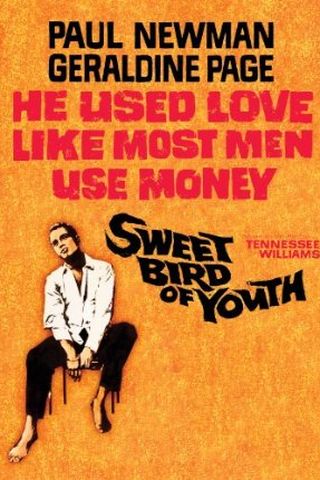 Sweet Bird of Youth