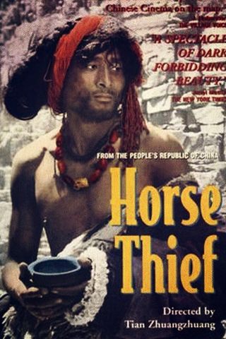 The Horse Thief