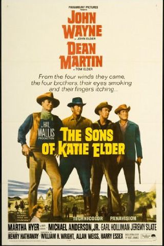 The Sons of Katie Elder