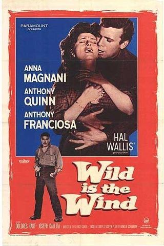 Wild Is the Wind