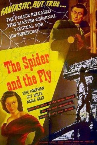 The Spider and the Fly