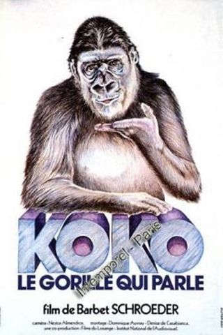 Koko - O Gorila Falante