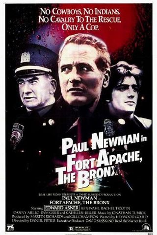 Fort Apache the Bronx