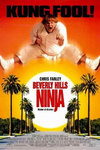 Beverly Hills Ninja