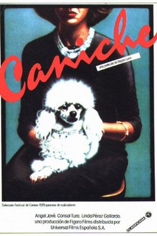 Caniche