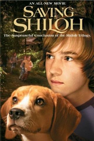 Shiloh 3