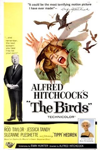 os-p-ssaros-diretor-alfred-hitchcock-melhores-filmes