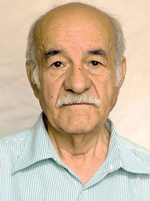 Saeed Poursamimi