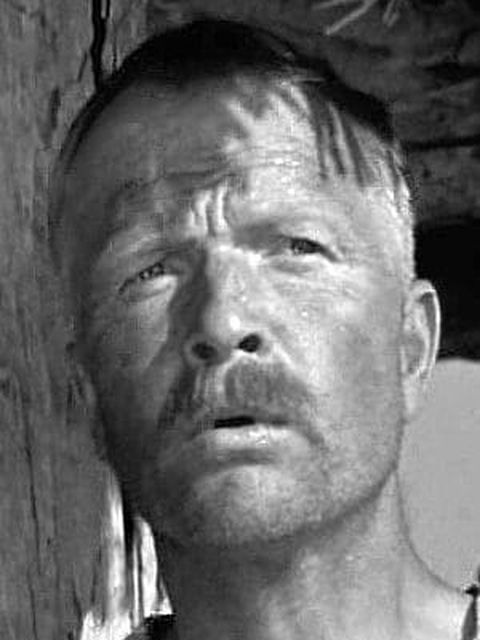 Nikolay Volkov