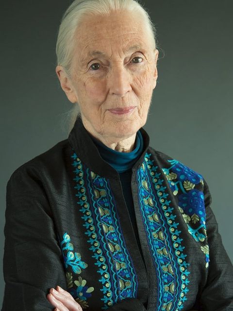 Jane Goodall