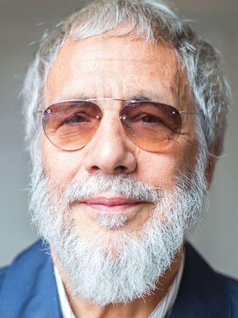 Cat Stevens