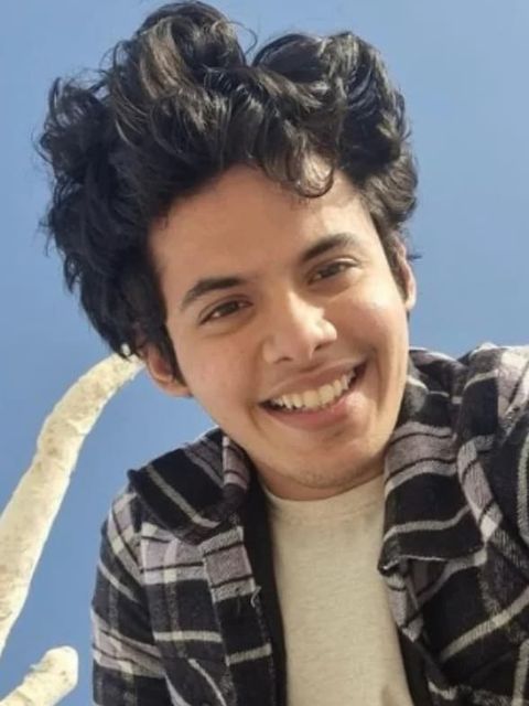 Darsheel Safary