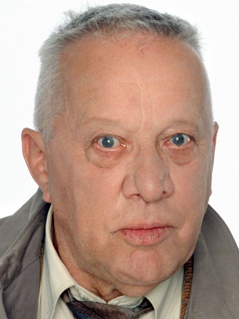 Heinz Baumann