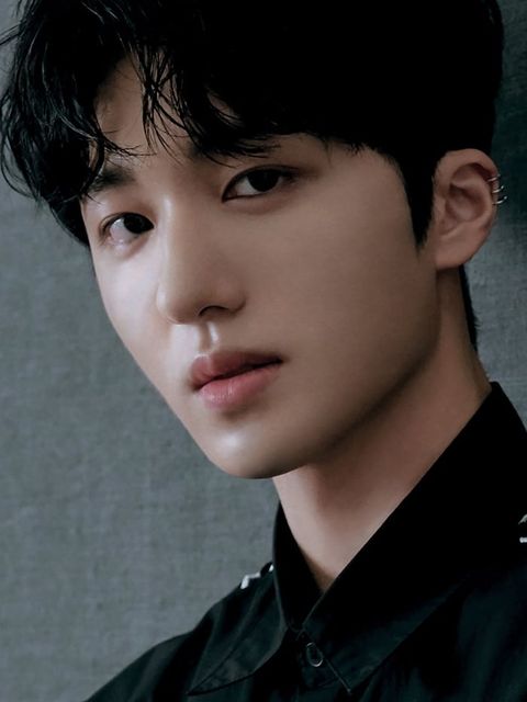 Kang Chan-hee