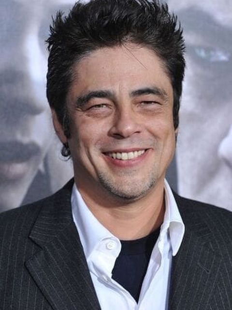 Benicio Del Toro