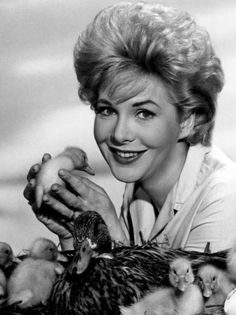 Jan Shepard