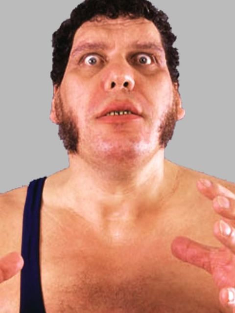 André the Giant