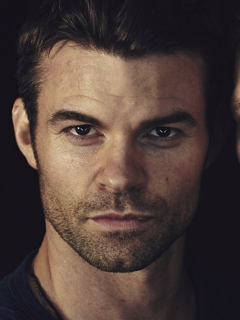 Daniel Gillies