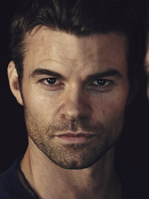 Daniel Gillies