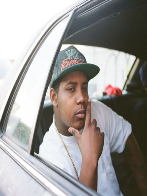 Jasper Dolphin