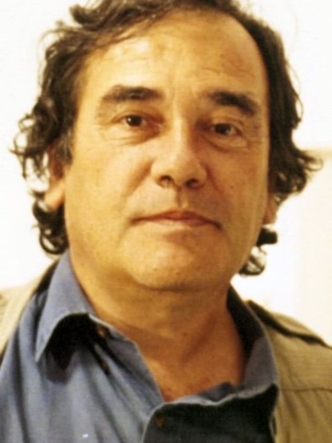 Eliseo Subiela