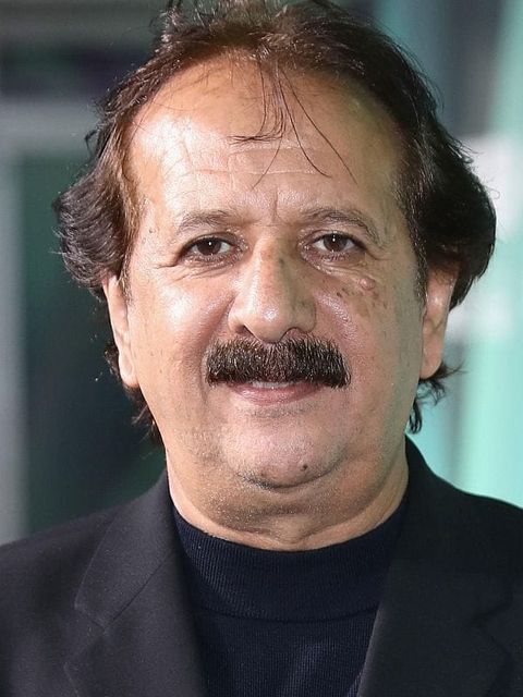 Majid Majidi