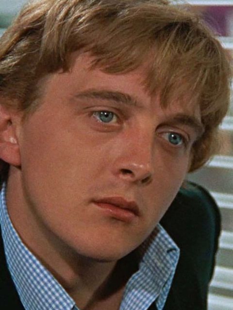 David Hemmings