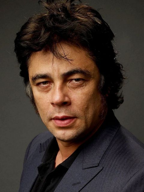 Benicio Del Toro